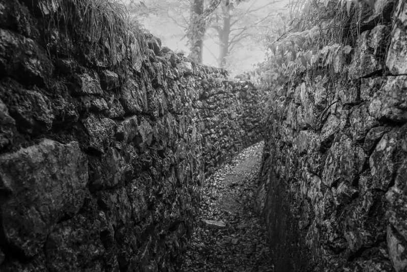 Cyber Preparedness lessons from the trenches
